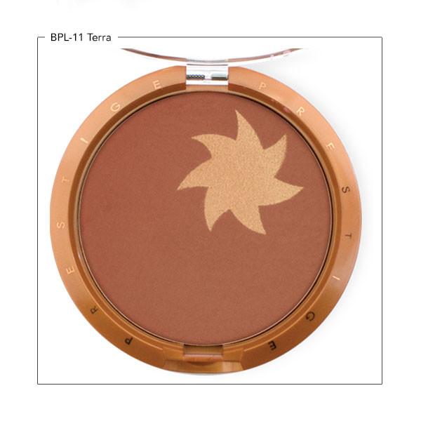 PRESTIGE COSMETICS SunFlower Illuminating Bronzing Powder,  BPL-11 Terra - ADDROS.COM